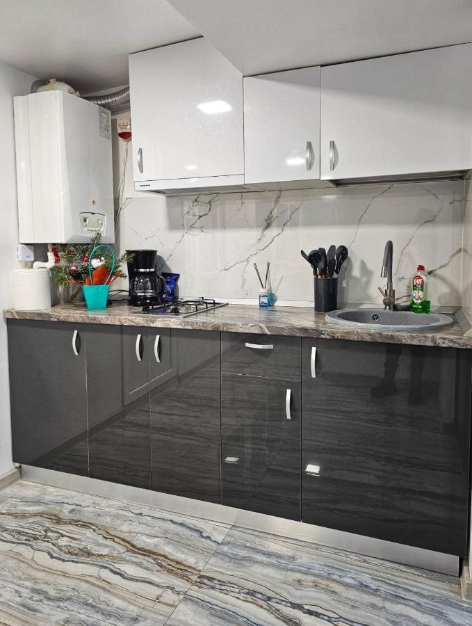 Blue Apartament 布勒伊拉 外观 照片